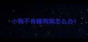 小狗不肯睡狗窝怎么办