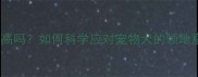 哈士奇攻击性高吗如何科学应对宠物犬的领地意识与行为管理