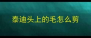 泰迪头上的毛怎么剪