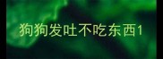 狗狗发吐不吃东西
