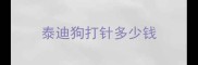 泰迪狗打针多少钱