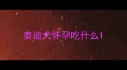 泰迪犬怀孕吃什么