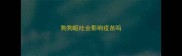狗狗呕吐会影响疫苗吗