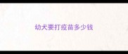 幼犬要打疫苗多少钱
