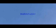 泰迪狗为什么拉水