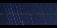 10款新手必看预算有限也能轻松养好的平价狗狗推荐附饲养指南