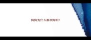 狗狗为什么喜欢撕纸