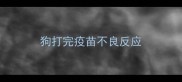 狗打完疫苗不良反应