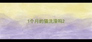1个月的猫洗澡吗