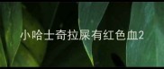 小哈士奇拉屎有红色血