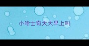 小哈士奇天天早上叫