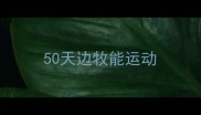 50天边牧能运动