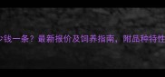 中哈士奇多少钱一条最新报价及饲养指南附品种特性与选购建议