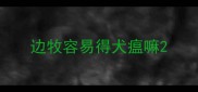 边牧容易得犬瘟嘛