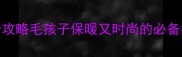 拉布拉多秋冬穿搭全攻略毛孩子保暖又时尚的必备指南附超全搭配公式