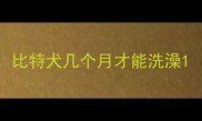 比特犬几个月才能洗澡