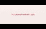 自家狗狗每年都打狂犬疫苗