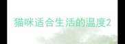 猫咪适合生活的温度