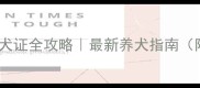 北京金毛犬办理犬证全攻略最新养犬指南附免费办理入口