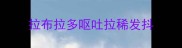 拉布拉多呕吐拉稀发抖