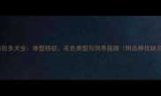 拉布拉多犬全体型特征毛色类型与饲养指南附品种优缺点