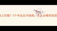 狗狗打疫苗后晚上狂躁5个专业应对指南主人必看的疫苗后护理全攻略