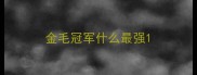 金毛冠军什么最强