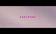 金毛鼻子褪色掉皮