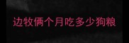 边牧俩个月吃多少狗粮