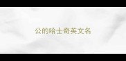 公的哈士奇英文名