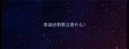 泰迪经期要注意什么