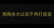 狗狗多大以后不用打疫苗