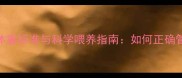 秋田犬5个月体重标准与科学喂养指南如何正确管理幼犬发育