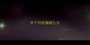 半个月的猫喂几次