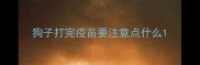 狗子打完疫苗要注意点什么