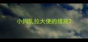 小狗乱拉大便的措施