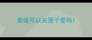 泰迪可以关笼子里吗