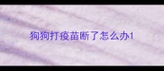 狗狗打疫苗断了怎么办