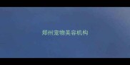 郑州宠物美容机构