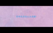 拉布拉多怎么去泪痕