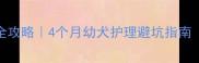 萨摩尴尬期全攻略4个月幼犬护理避坑指南附真实案例