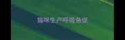 猫咪生产呼吸急促