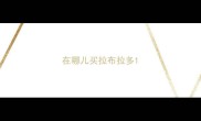 在哪儿买拉布拉多