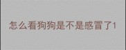 怎么看狗狗是不是感冒了