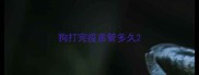 狗打完疫苗管多久