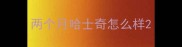 两个月哈士奇怎么样