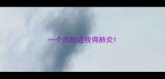 一个月的边牧得肺炎