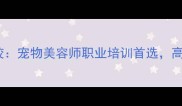 苏州派多格宠物美容学校宠物美容师职业培训首选高薪就业与技能提升指南