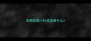 狗狗的第一针疫苗管什么