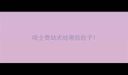 哈士奇幼犬经常拉肚子